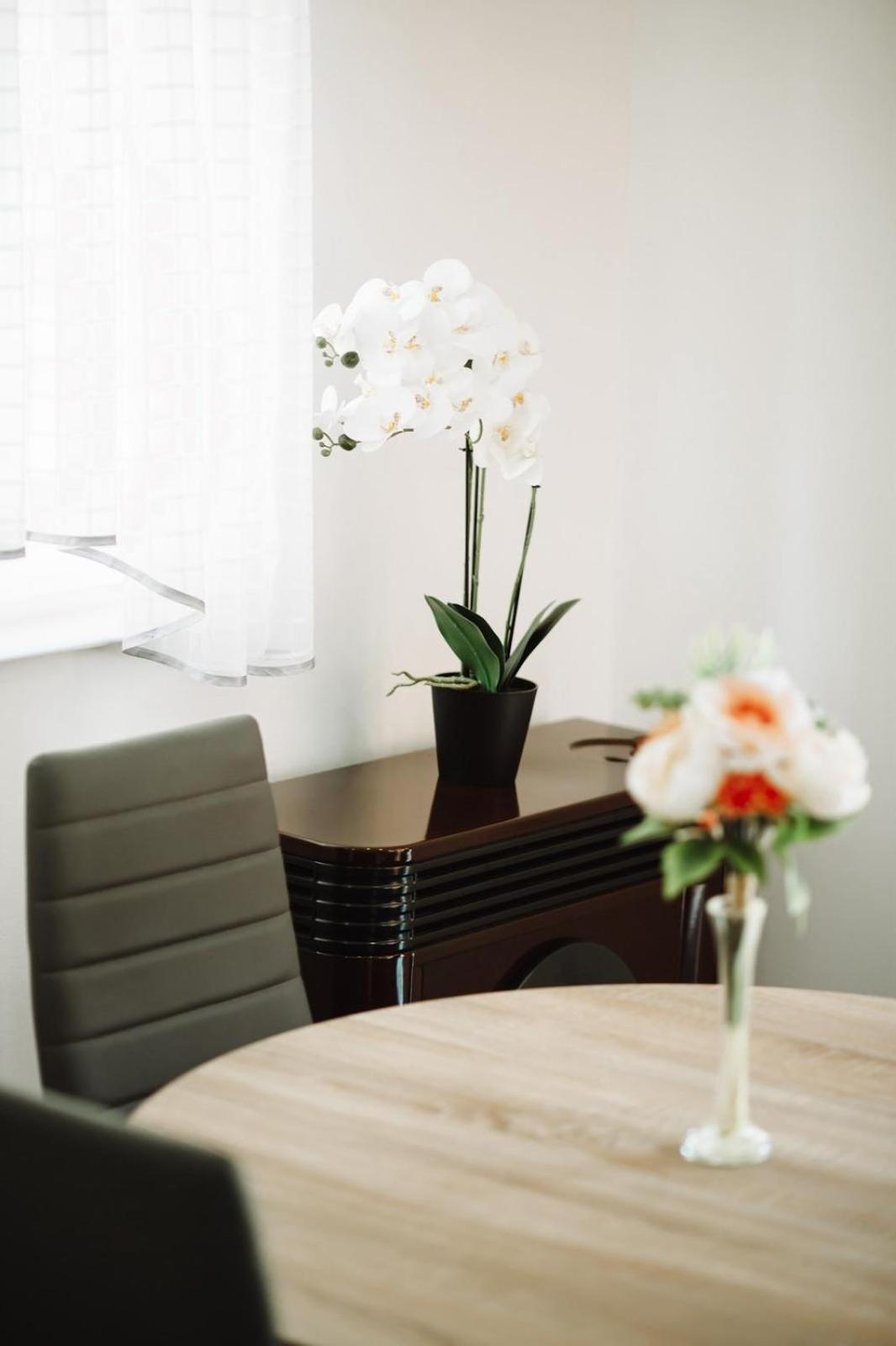 Apartman Sunny Hills Krapina Esterno foto